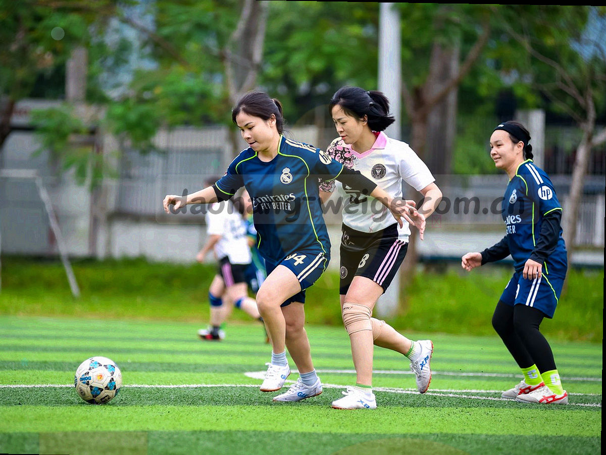 天山蓝灰坐标网格，青绿节点标出邮件、电话与登记地址三个联系方向